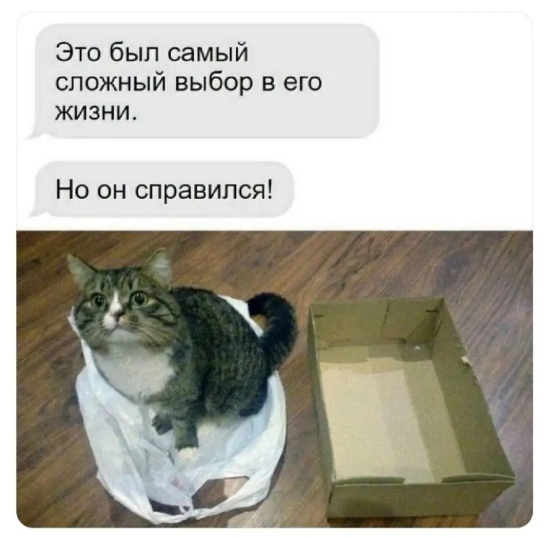 Посвящение в котики 😂
БЛОГ В ТГ / БЛОГ В MAX
#Юмор #Коты
В этом посте были ссылки, но мы их удалили по правилам Сетки | Сетка — социальная сеть от hh.ru