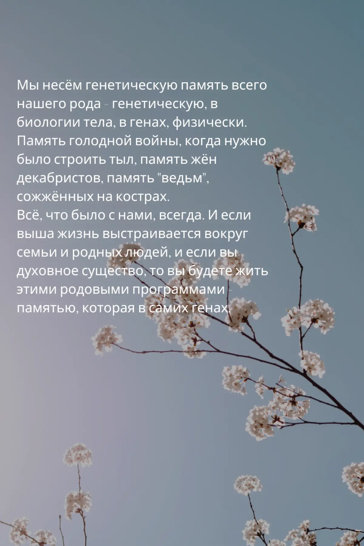 Женщина всегда кого-то хочет спасать... | Сетка — социальная сеть от hh.ru