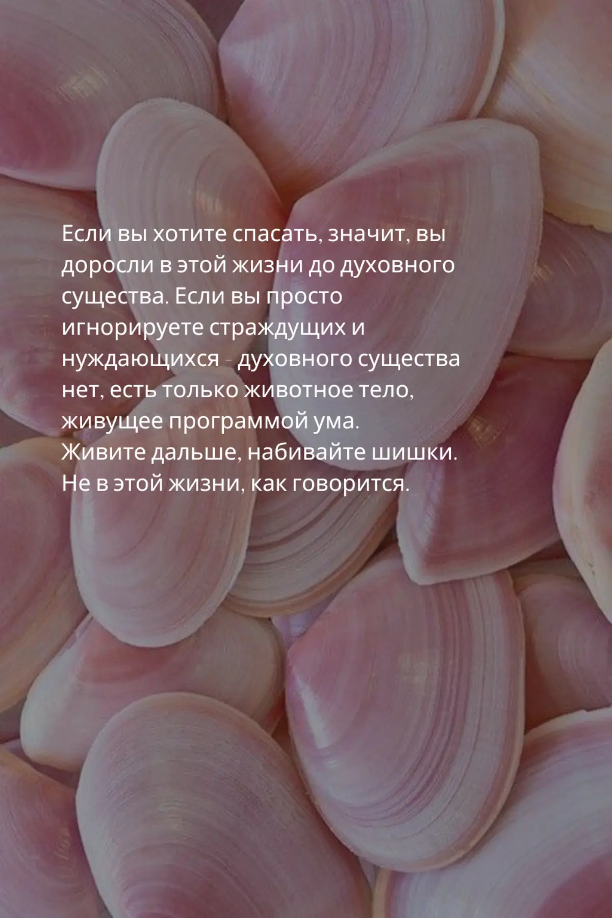 Женщина всегда кого-то хочет спасать... | Сетка — социальная сеть от hh.ru