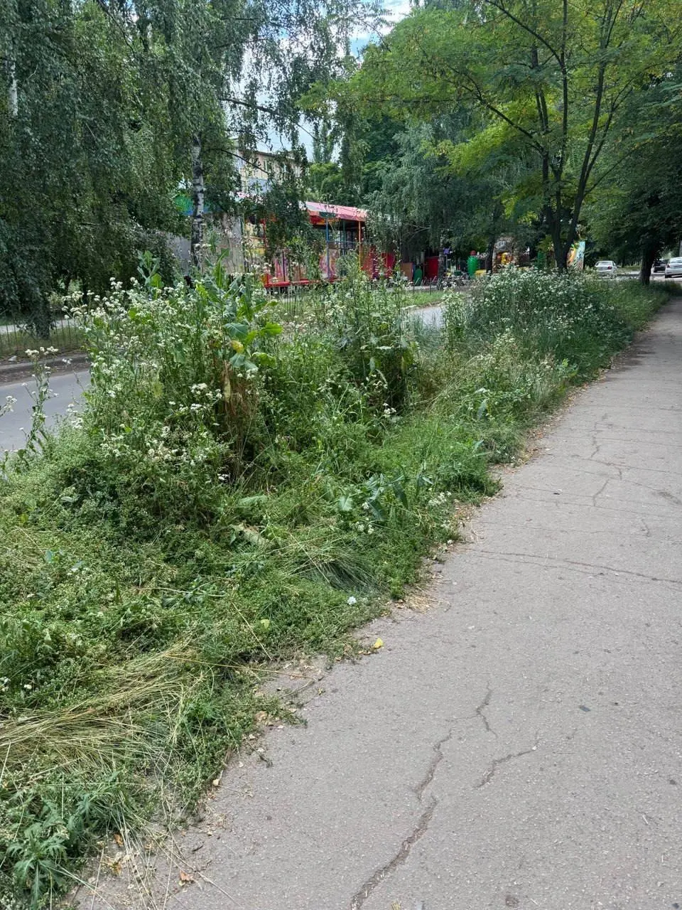 Макеевка,ДАКИ
Когда уже приедут индийские рабочие?
Трава под два метра | Сетка — социальная сеть от hh.ru