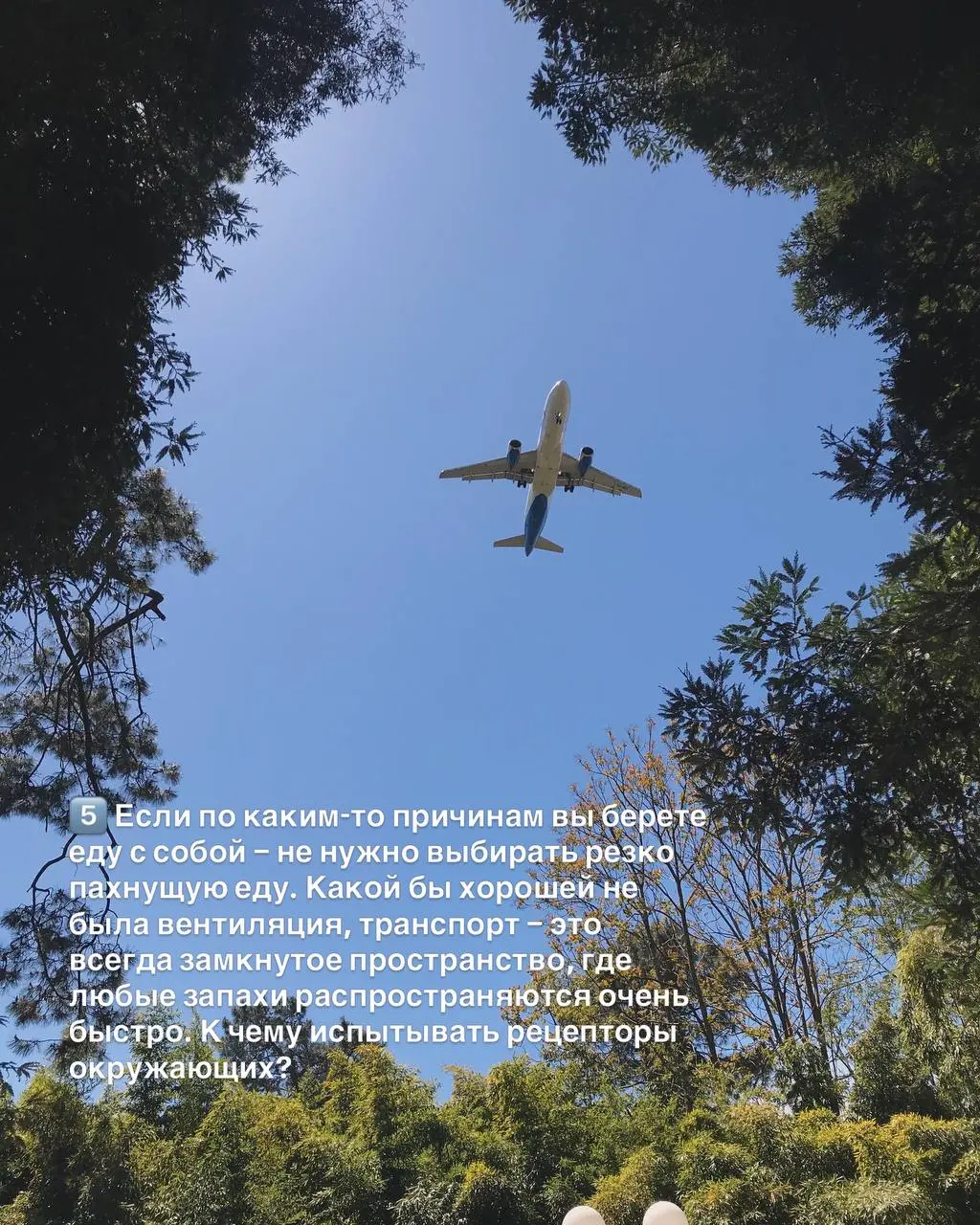 День бортпроводника сегодня!✈️
Мои поздравления всем представителям этой красивой и сложной профессии, бывшим, настоящим и будущим!
А для вас, дорогие друзья, сегодня в карточках 10 правил travel-этик... | Сетка — социальная сеть от hh.ru