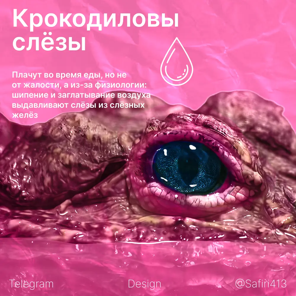 5 день инфографики | Сетка — социальная сеть от hh.ru