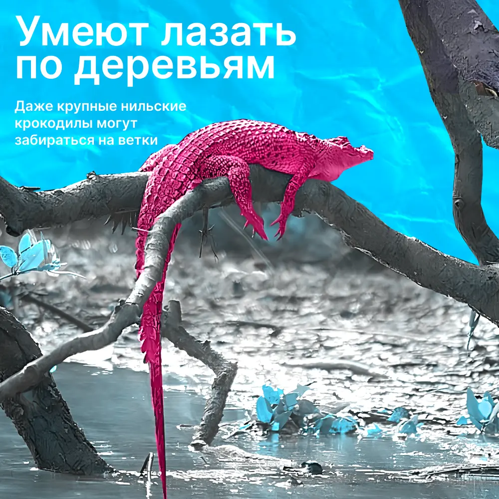 5 день инфографики | Сетка — социальная сеть от hh.ru