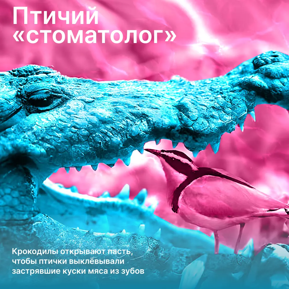 5 день инфографики | Сетка — социальная сеть от hh.ru