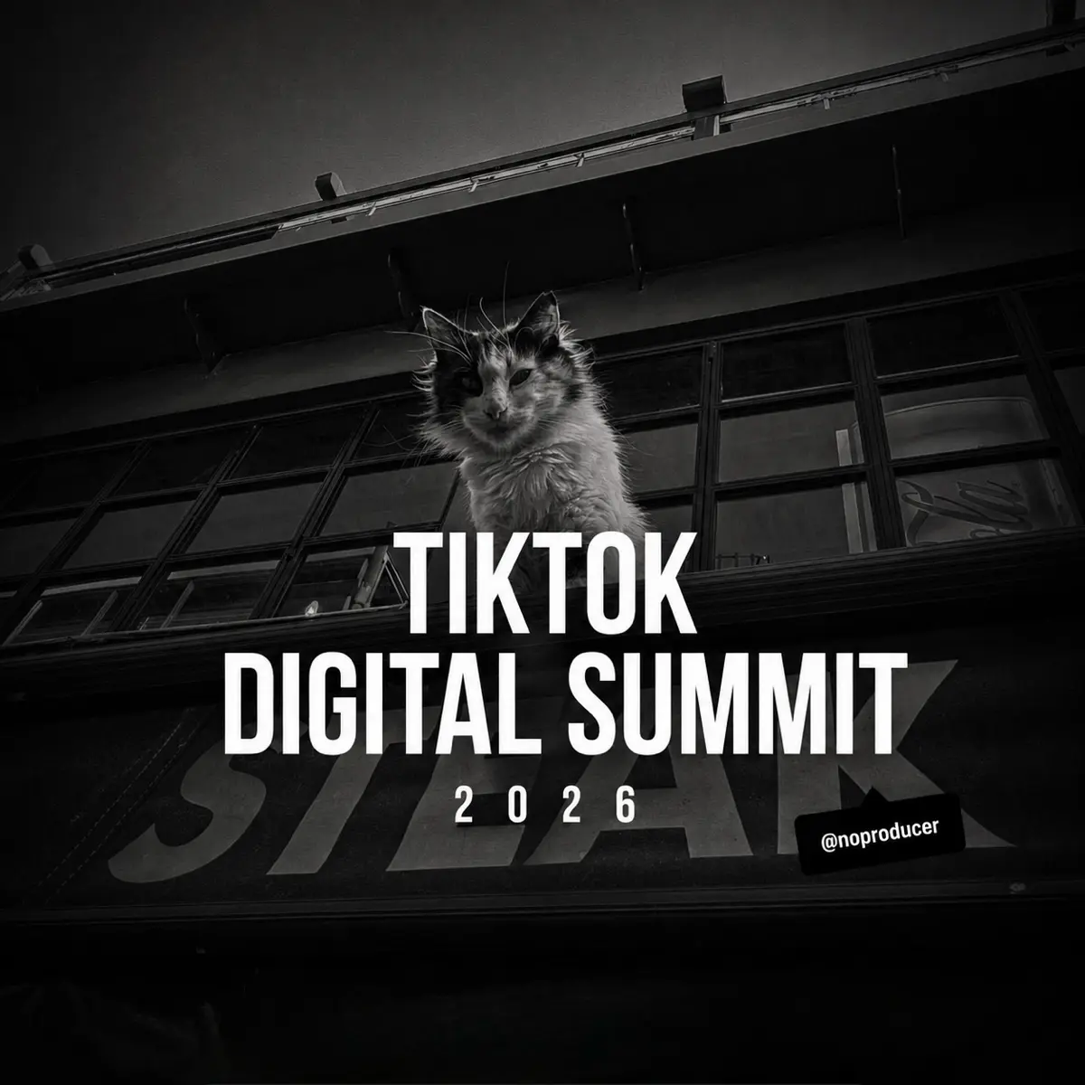 Я съездил на TikTok Digital Summit. И понял одну вещь… | Сетка — социальная сеть от hh.ru