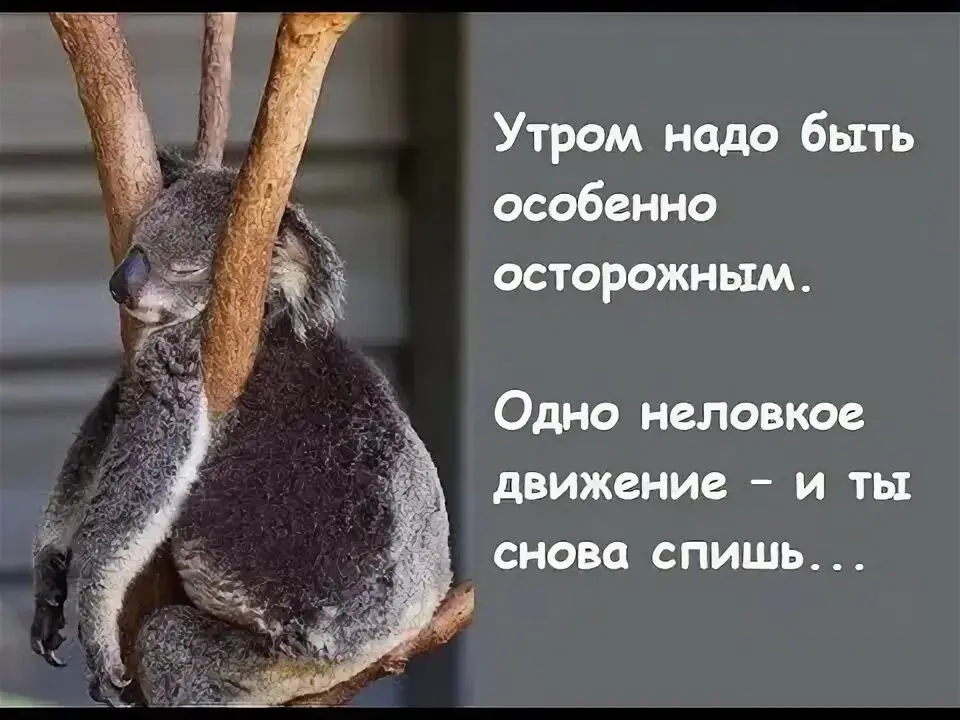 ЮМОР ДНЯ 😎 | Сетка — социальная сеть от hh.ru