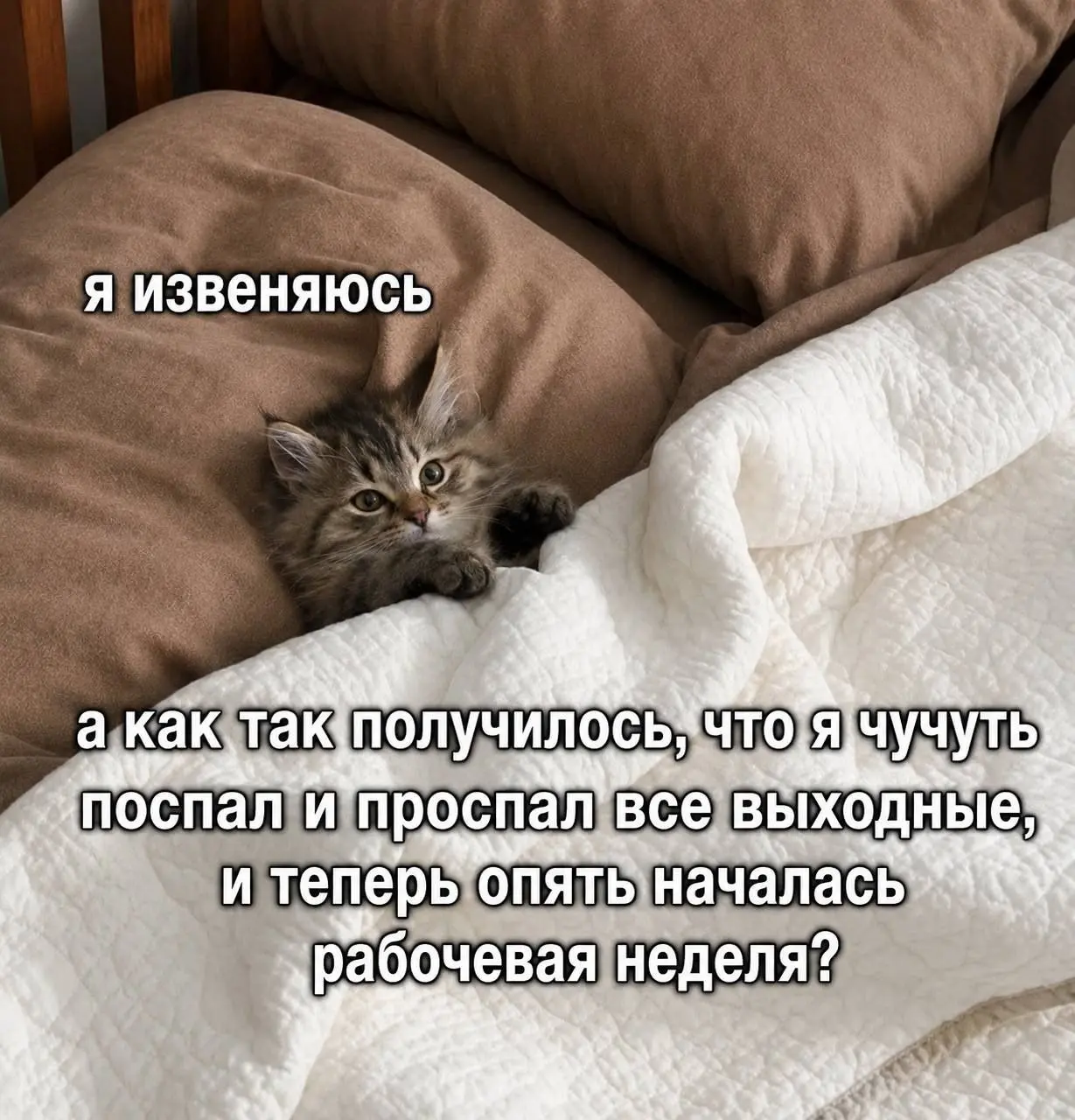 С понедельником | Сетка — социальная сеть от hh.ru