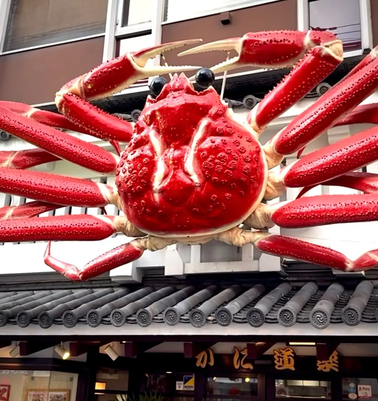 Улица #dotonbori в Осаке славится не только едой, но и своими безумными вывесками 🦀🏃‍♂️
Здесь вы найдете дух той самой старой, шумной и немного безумной Осаки | Сетка — социальная сеть от hh.ru