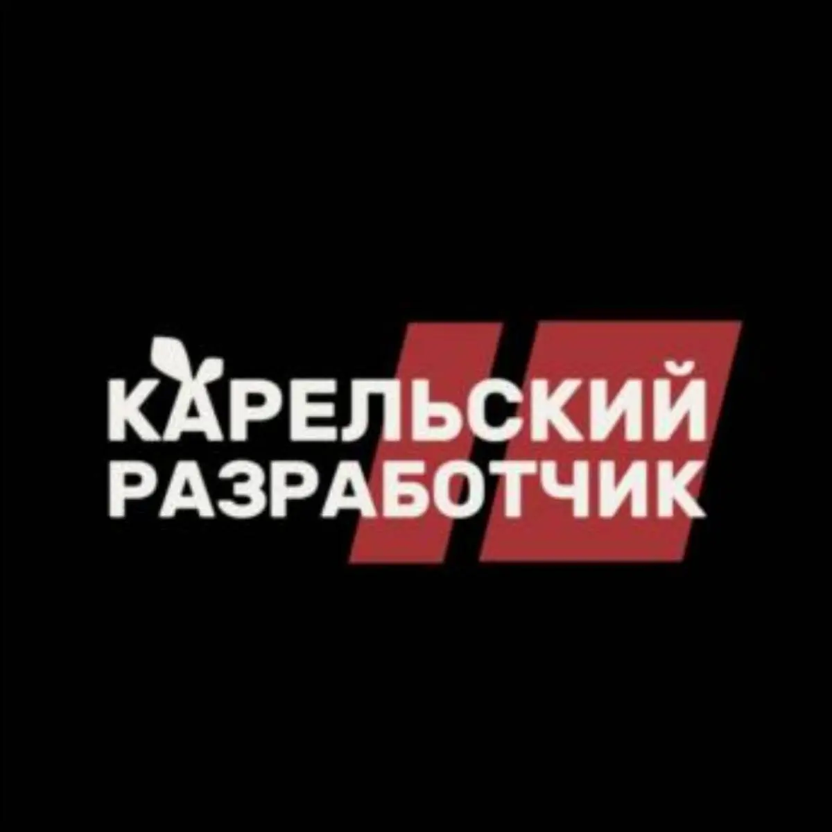 Карельский разработчик