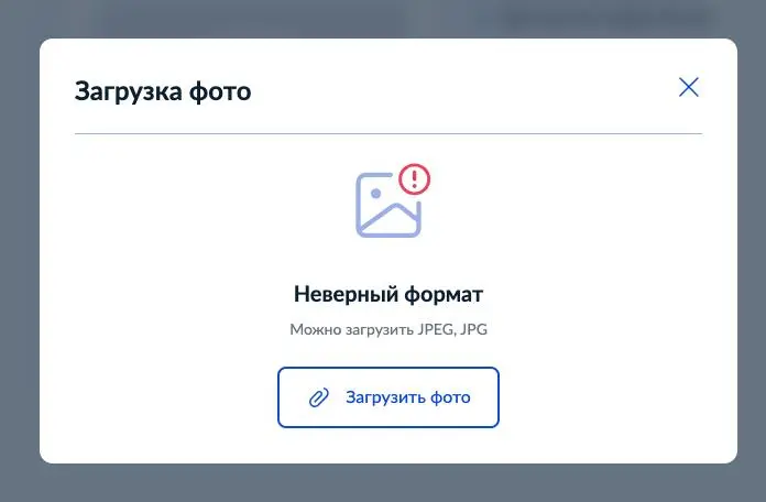 Целый разворот сделали о том как себя вести, как нельзя как можно…
А формат — да пусть догадаются, что бывает что-то помимо JPG и JPEG.
Спасибо, Госуслуги, чё | Сетка — социальная сеть от hh.ru