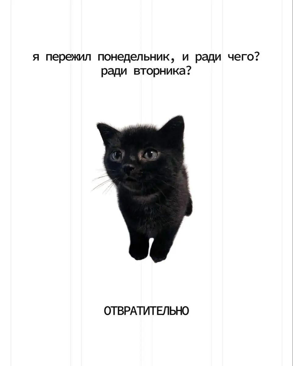Всем хорошего вторника | Сетка — социальная сеть от hh.ru