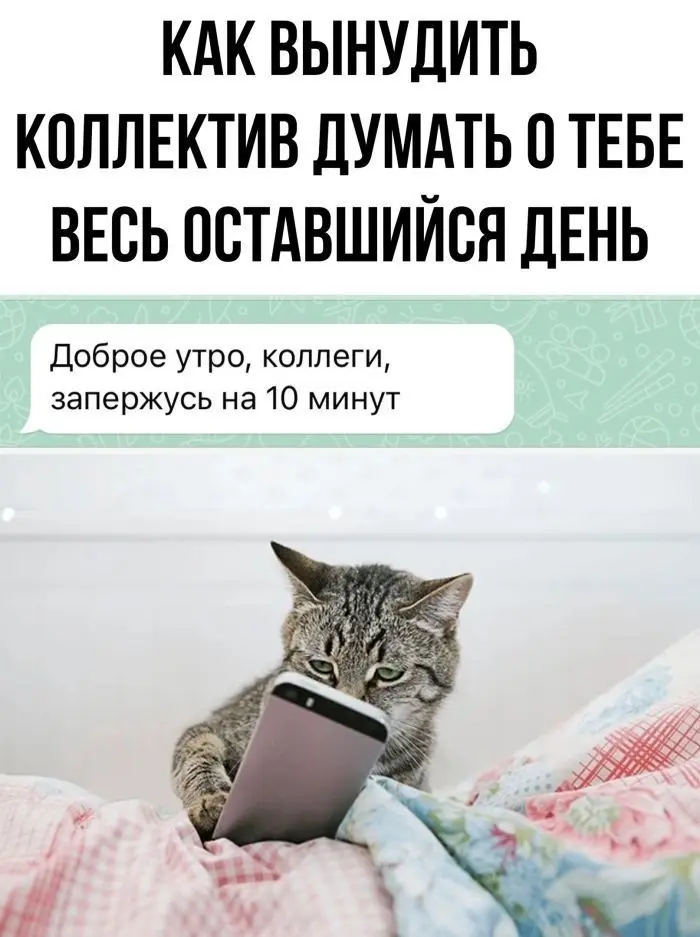 Коллеги? | Сетка — социальная сеть от hh.ru