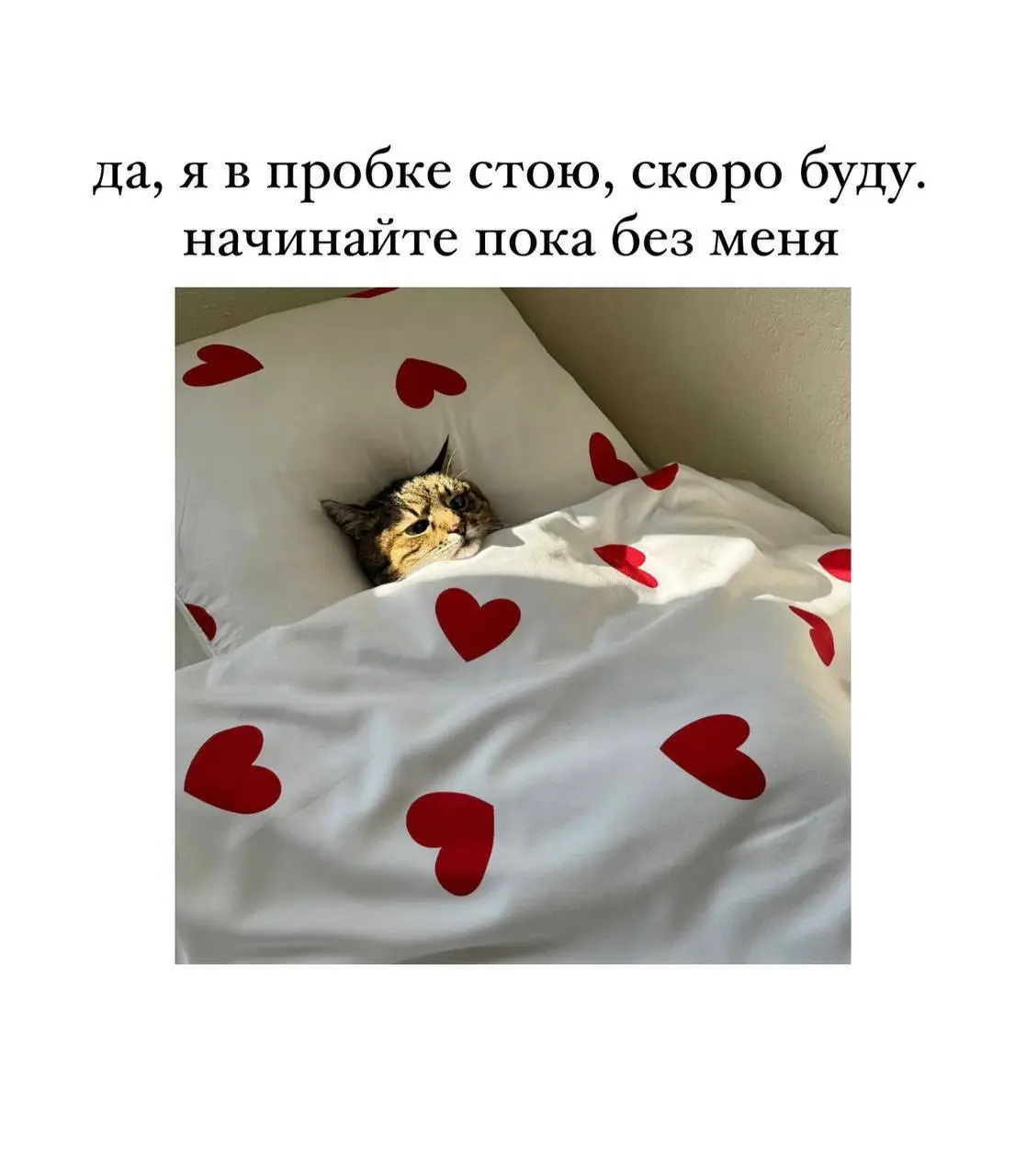 Коллеги, мы? | Сетка — социальная сеть от hh.ru