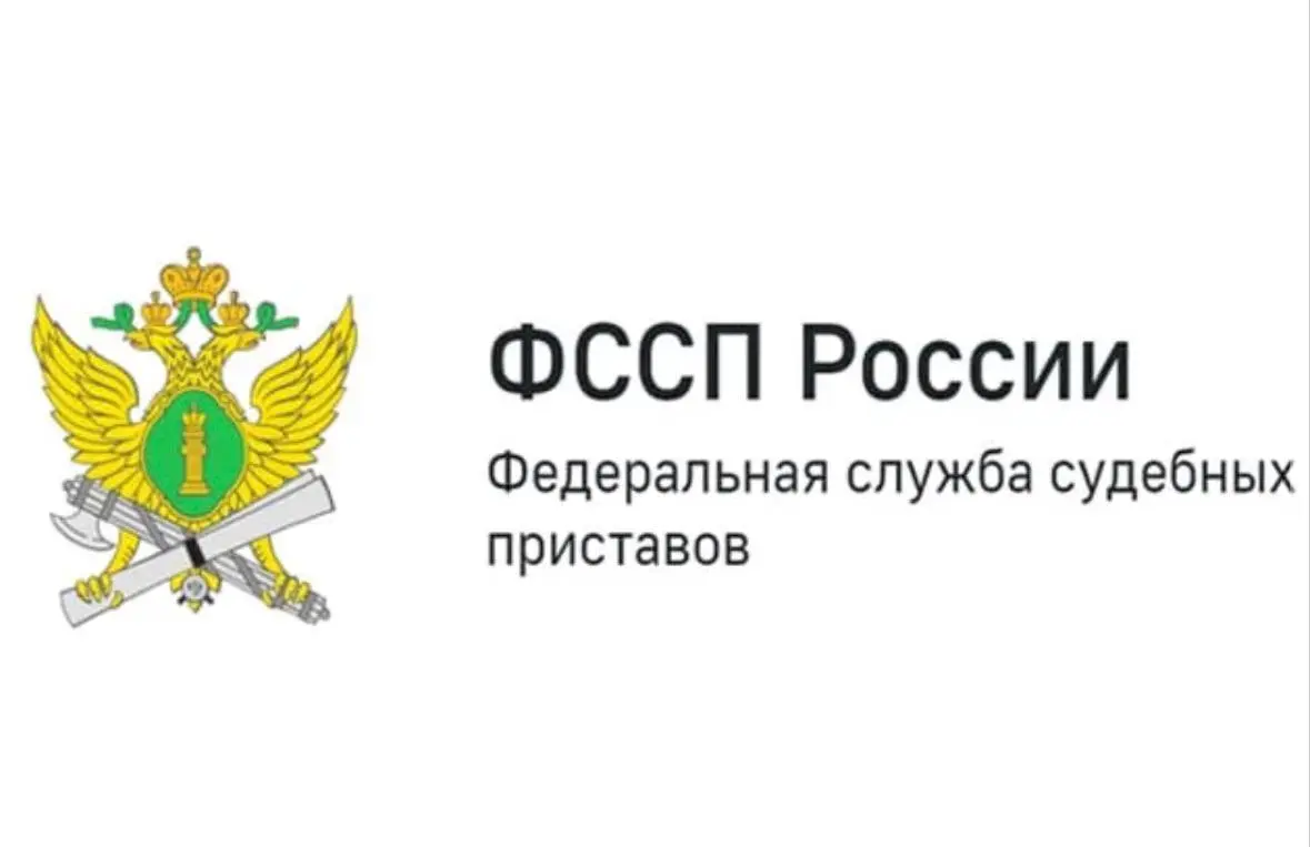 Что будет в исполнительном производстве?
Судебный акт о взыскании долга уже вынесен, заявление о возбуждении исполнительного производства направлено приставам | Сетка — социальная сеть от hh.ru