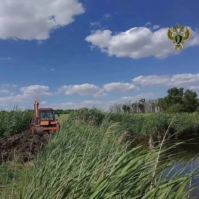 🚧 На Ставрополье снесли незаконную дамбу, из-за которой подтопило берег
В селе Красногвардейском по требованию прокуратуры снесли незаконную дамбу, которую предприниматель построил прямо в русле реки | Сетка — социальная сеть от hh.ru