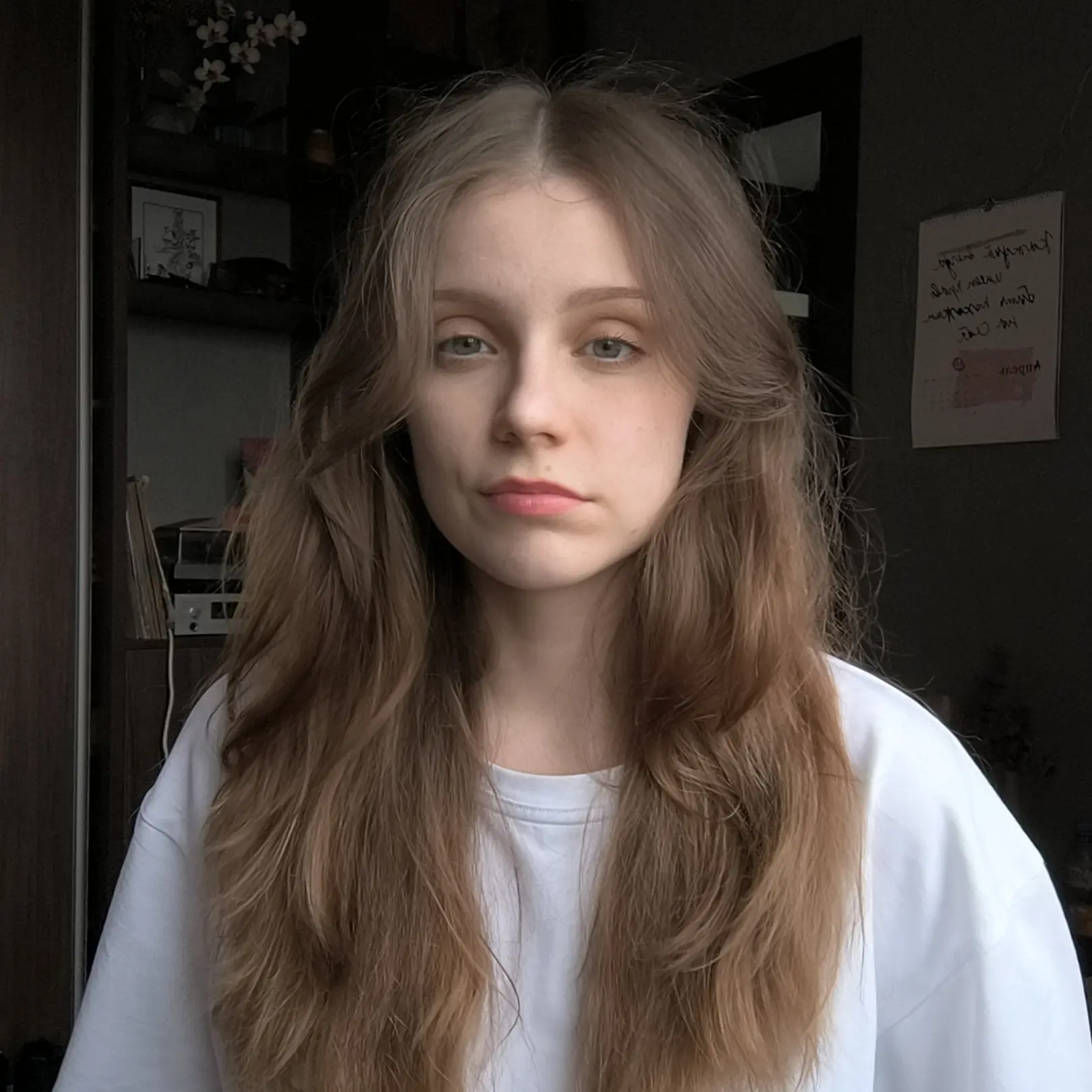 Дилящий Орёл