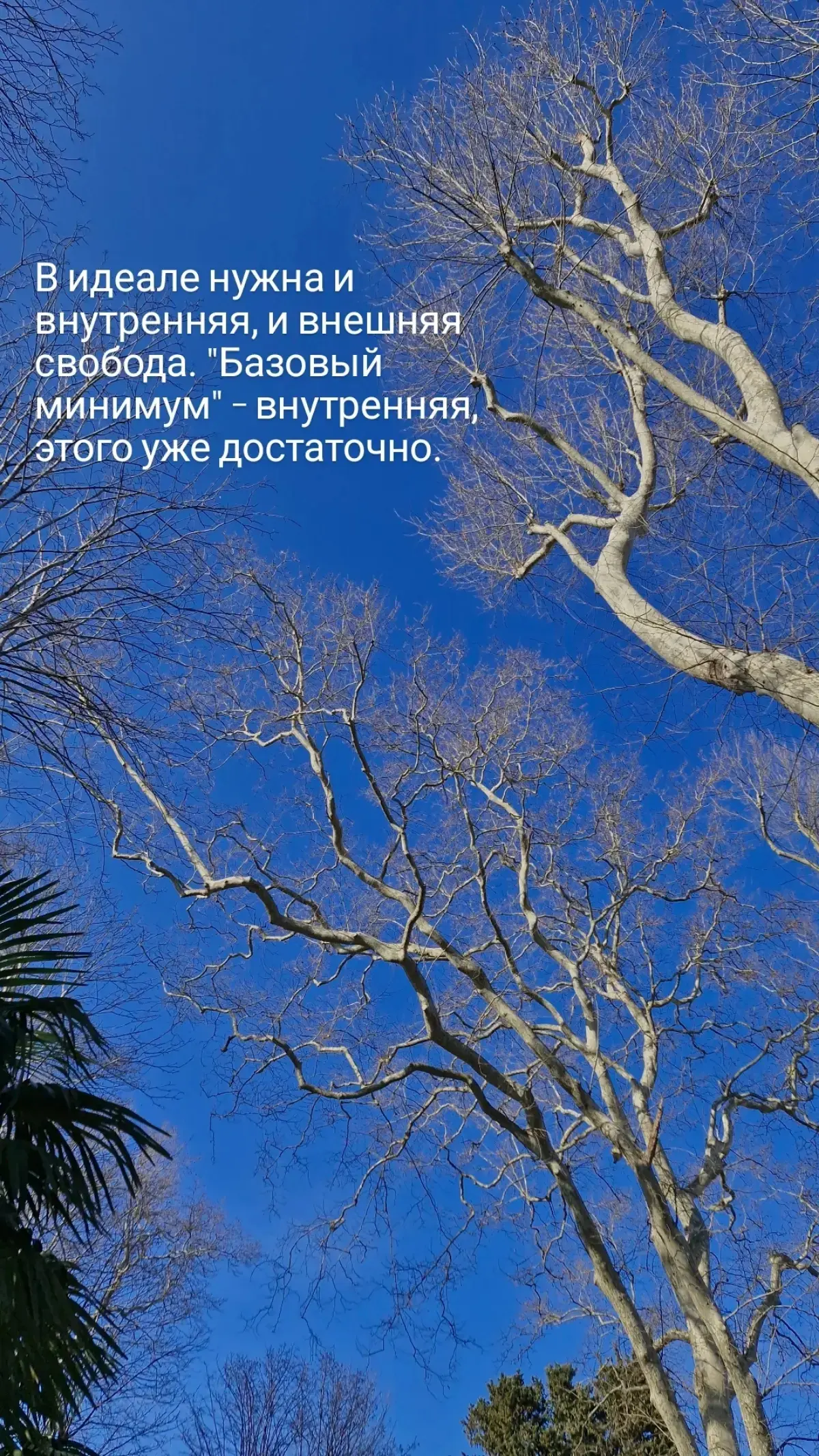 Доброе утро ✨️
Напоминание вам. Практикуйте это.
Закройте глаза, когда находитесь там, где вам не нравится. Зафиксируйте своё состояние.
Закройте глаза, когда находитесь там, где вам нравится | Сетка — социальная сеть от hh.ru