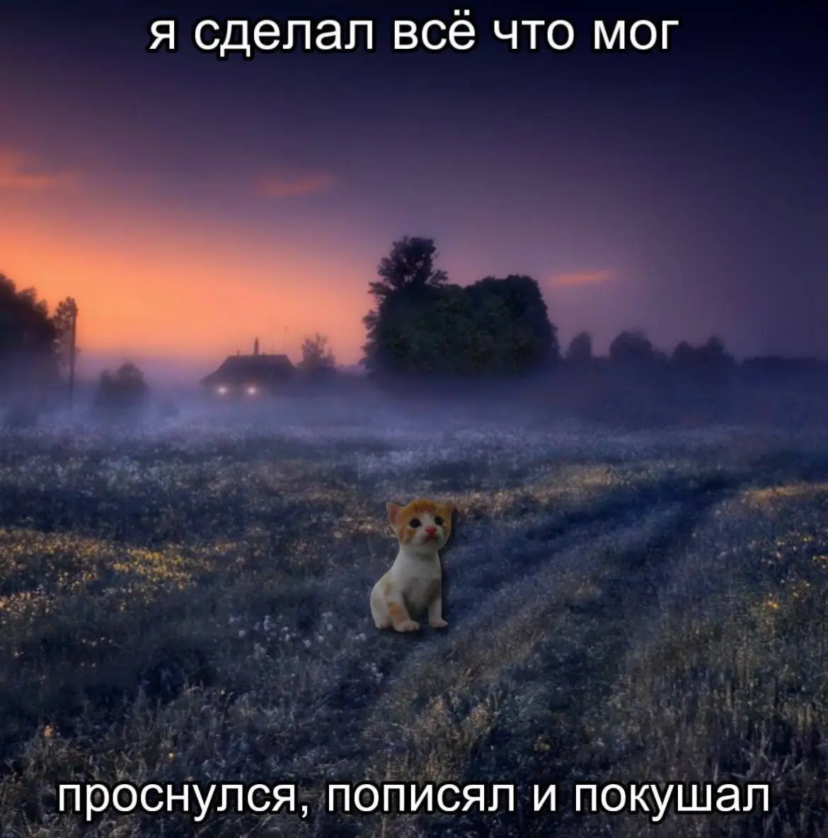 Когда спросил джуна что он сделал
👨‍💻Продакт поехал #meme
В этом посте были ссылки, но мы их удалили по правилам Сетки | Сетка — социальная сеть от hh.ru