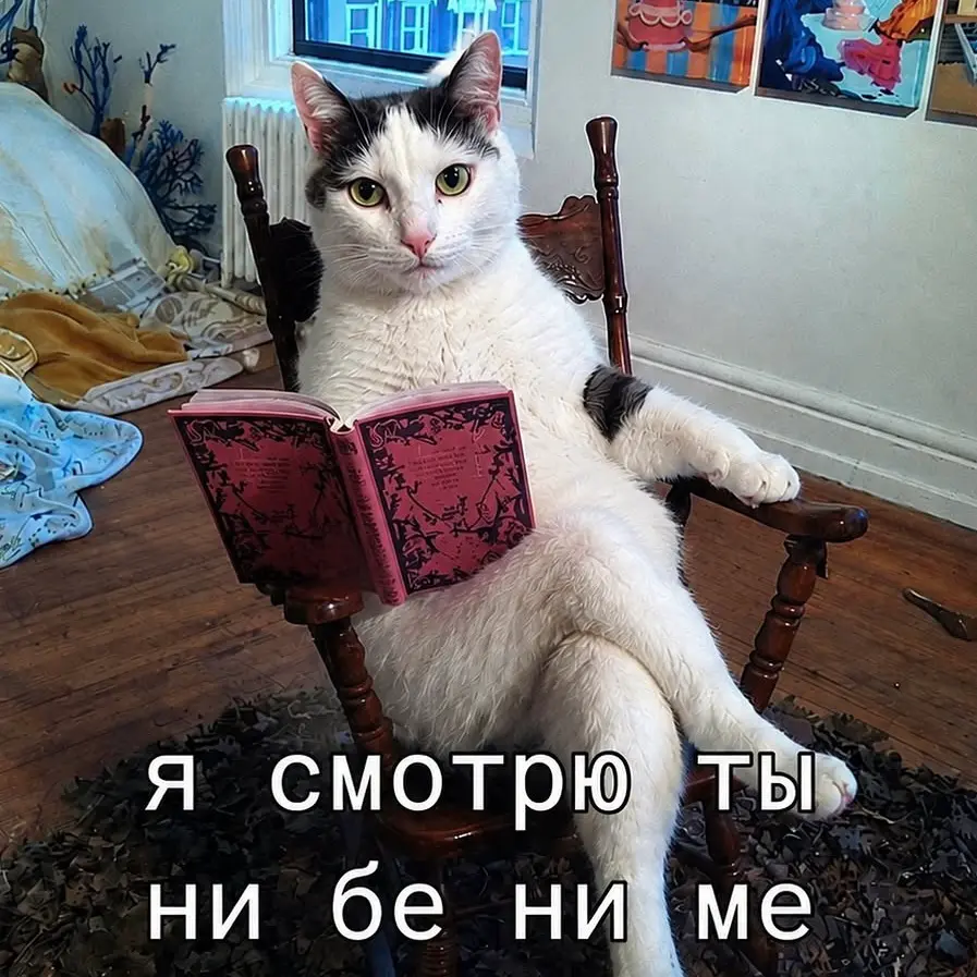 «Я смотрю ты ни бе ни ме»: как не выглядеть так в глазах HR | Сетка — социальная сеть от hh.ru