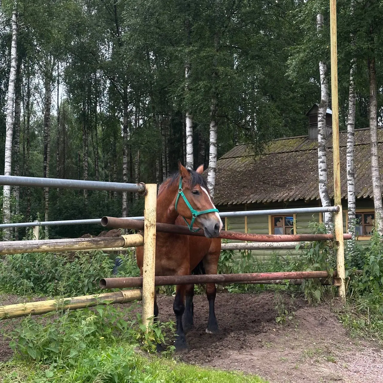 🌿🌿🌿🌿🌿🌿🌿🌿🌿🌿🌿🌿
📍удивительная деревня Мандроги | Сетка — социальная сеть от hh.ru