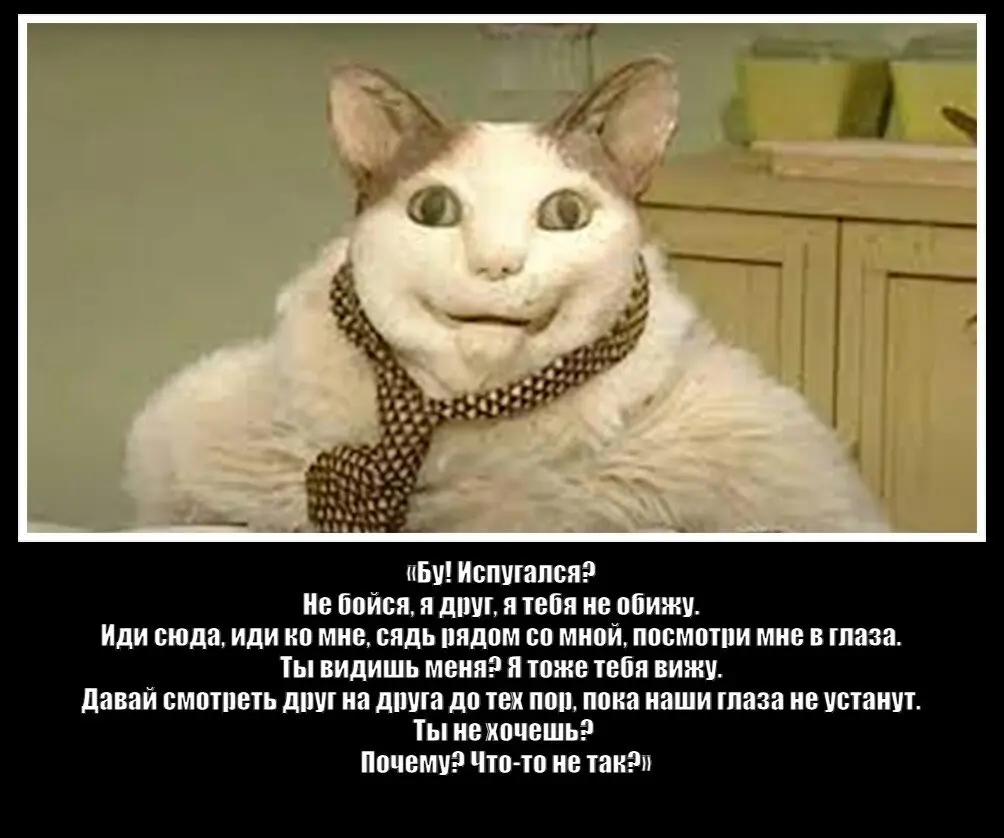 Ебать тут одноклассники | Сетка — социальная сеть от hh.ru