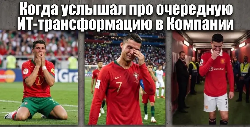Сетка — социальная сеть от hh.ru
