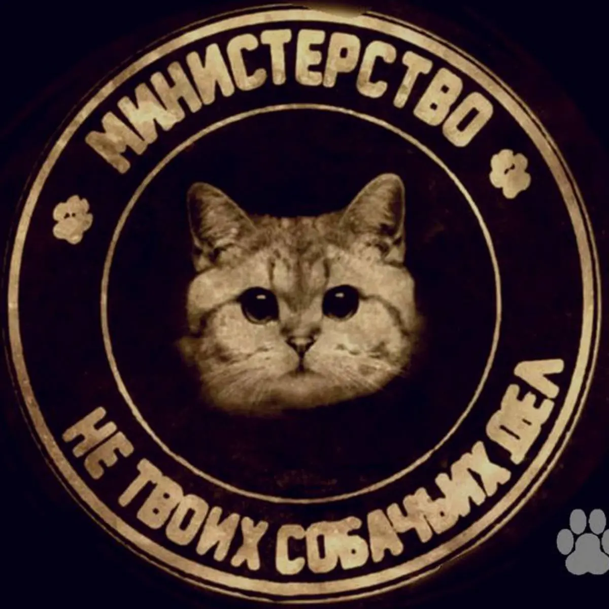 Валерия Лебедева