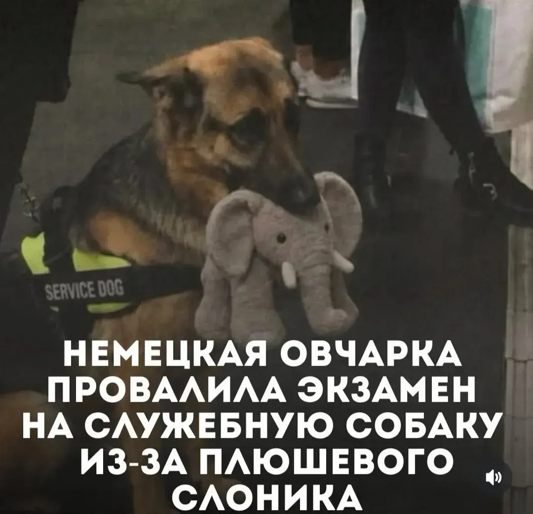 Всякое бывает :) | Сетка — социальная сеть от hh.ru