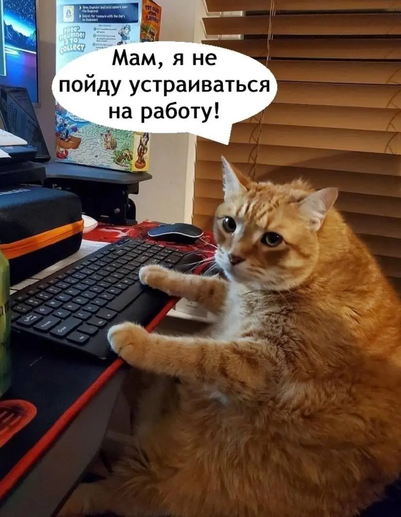 Я у мамы стример 😂
БЛОГ В ТГ / БЛОГ В MAX
#Юмор #Коты
В этом посте были ссылки, но мы их удалили по правилам Сетки | Сетка — социальная сеть от hh.ru