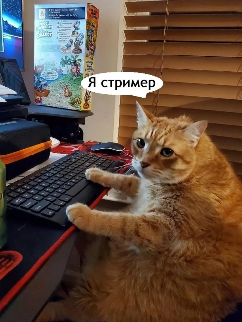 Я у мамы стример 😂
БЛОГ В ТГ / БЛОГ В MAX
#Юмор #Коты
В этом посте были ссылки, но мы их удалили по правилам Сетки | Сетка — социальная сеть от hh.ru