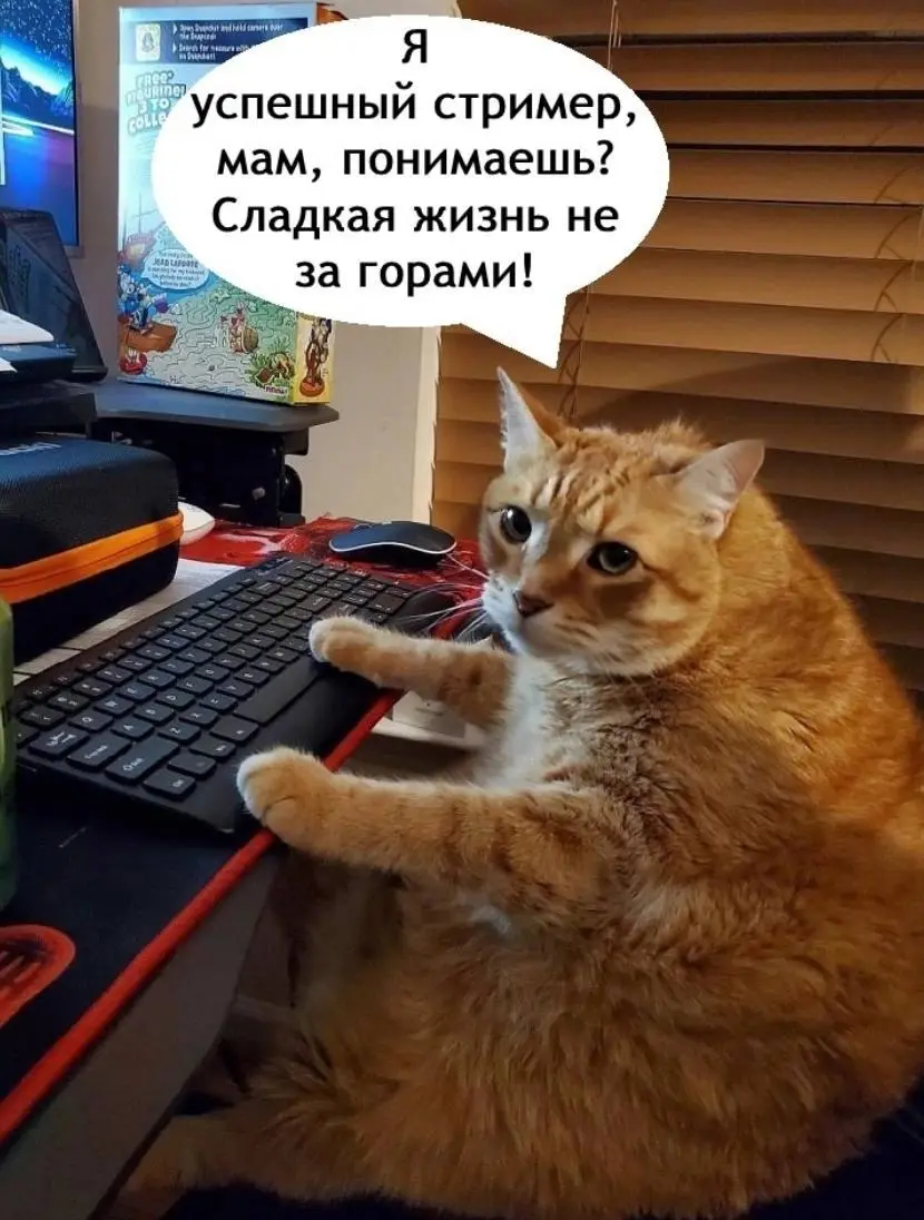 Я у мамы стример 😂
БЛОГ В ТГ / БЛОГ В MAX
#Юмор #Коты
В этом посте были ссылки, но мы их удалили по правилам Сетки | Сетка — социальная сеть от hh.ru