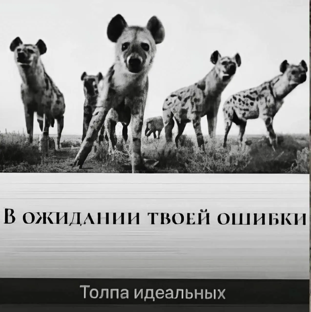 Самый токсичный человек на вашем собеседовании … это вы сами.
Нет, не рекрутер. Не руководитель. И даже не тот кандидат с тремя дипломами, пятью сертификатами и английским C2 | Сетка — социальная сеть от hh.ru
