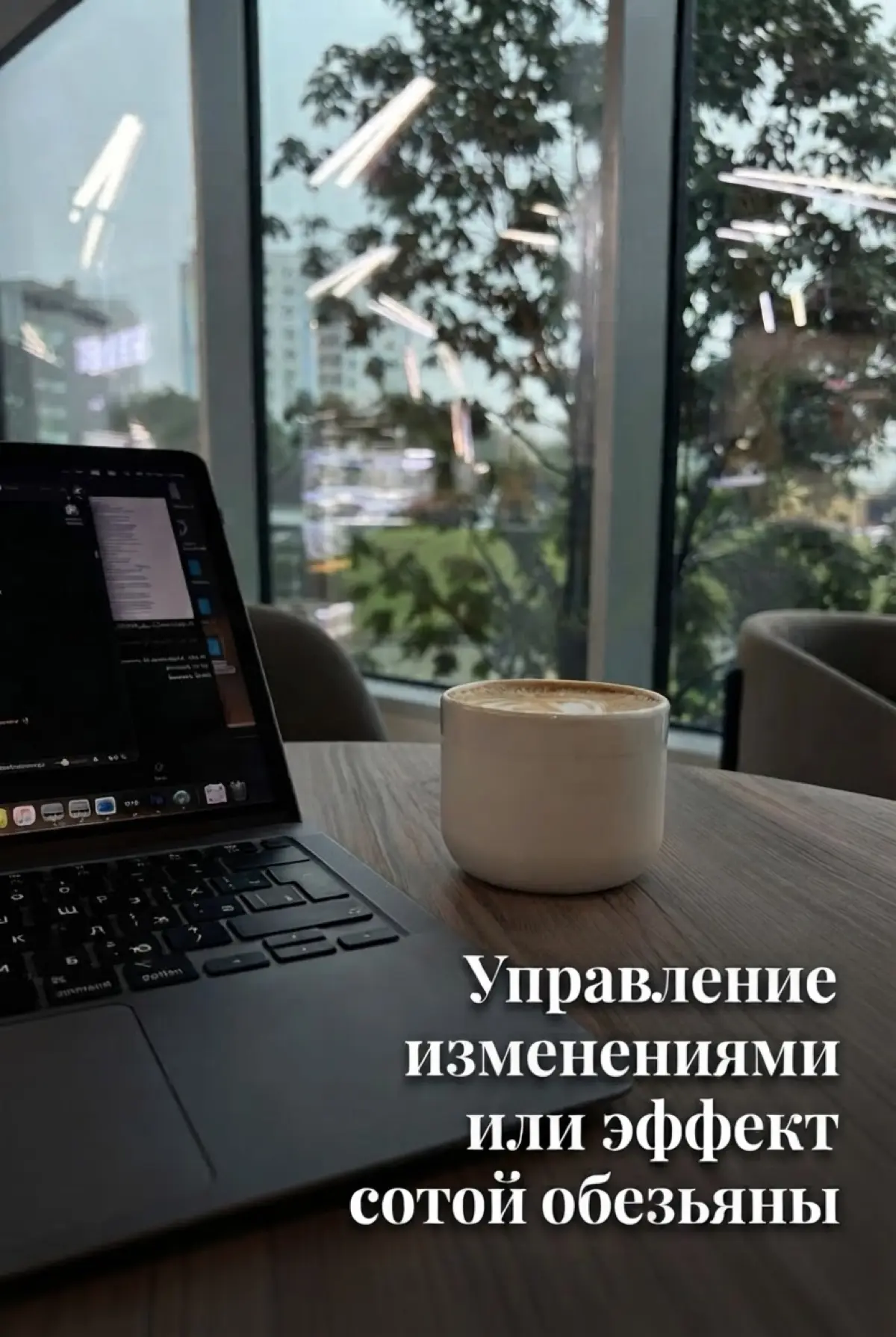 Управление изменениями или эффект сотой обезьяны | Сетка — социальная сеть от hh.ru