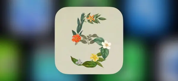 Anthropic выпустила Claude Sonnet 5 — бес­платно для всех
Поделиться
30 июня Anthropic представила модель Claude Sonnet 5.
Компания называет ее самой агентной в линейке Sonnet | Сетка — социальная сеть от hh.ru