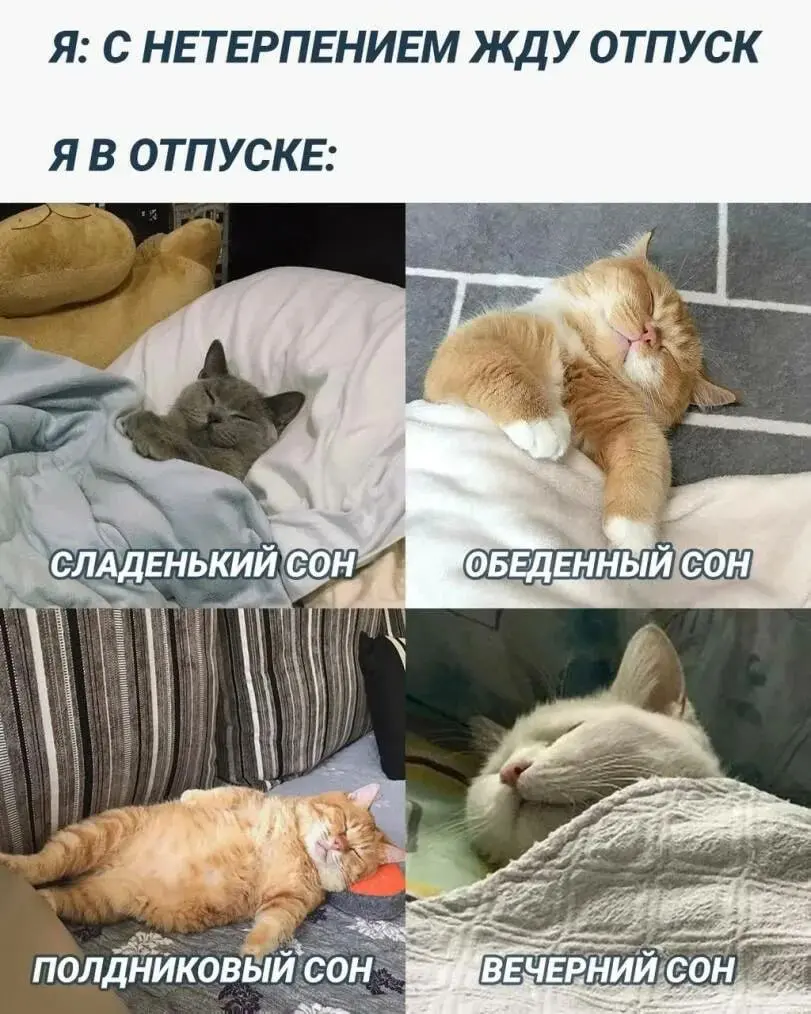 Коллеги, всем, кто в отпуске, желаем хорошо отдохнуть! | Сетка — социальная сеть от hh.ru