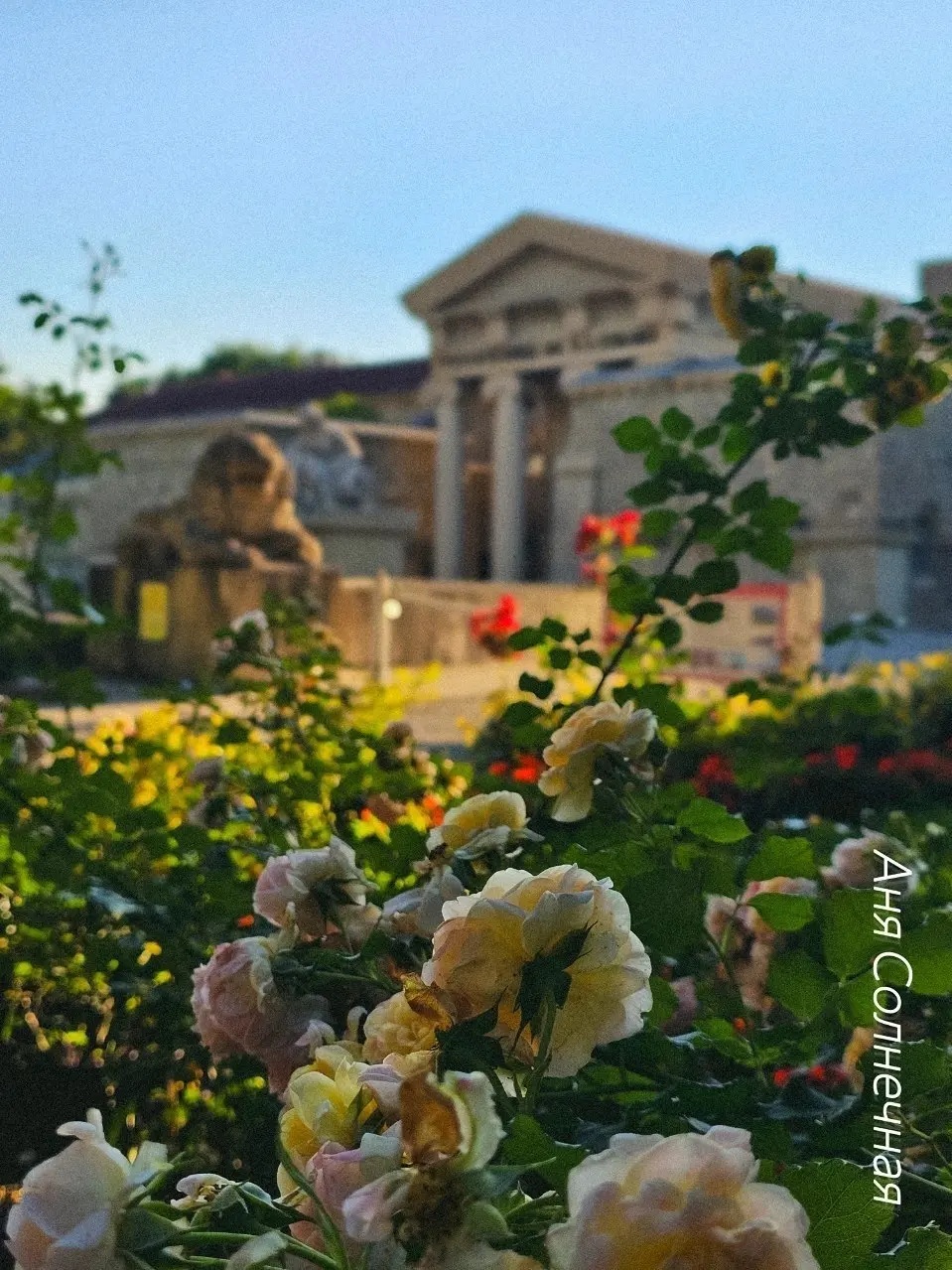 🌸 Летние Ессентуки в объективе
Цветущие клумбы, зелёные аллеи и узнаваемые виды курортного города. Красота, которая радует каждый день.
Фото: Аня Солнечная
📲 Ставропольский дворик в МАХ | Сетка — социальная сеть от hh.ru