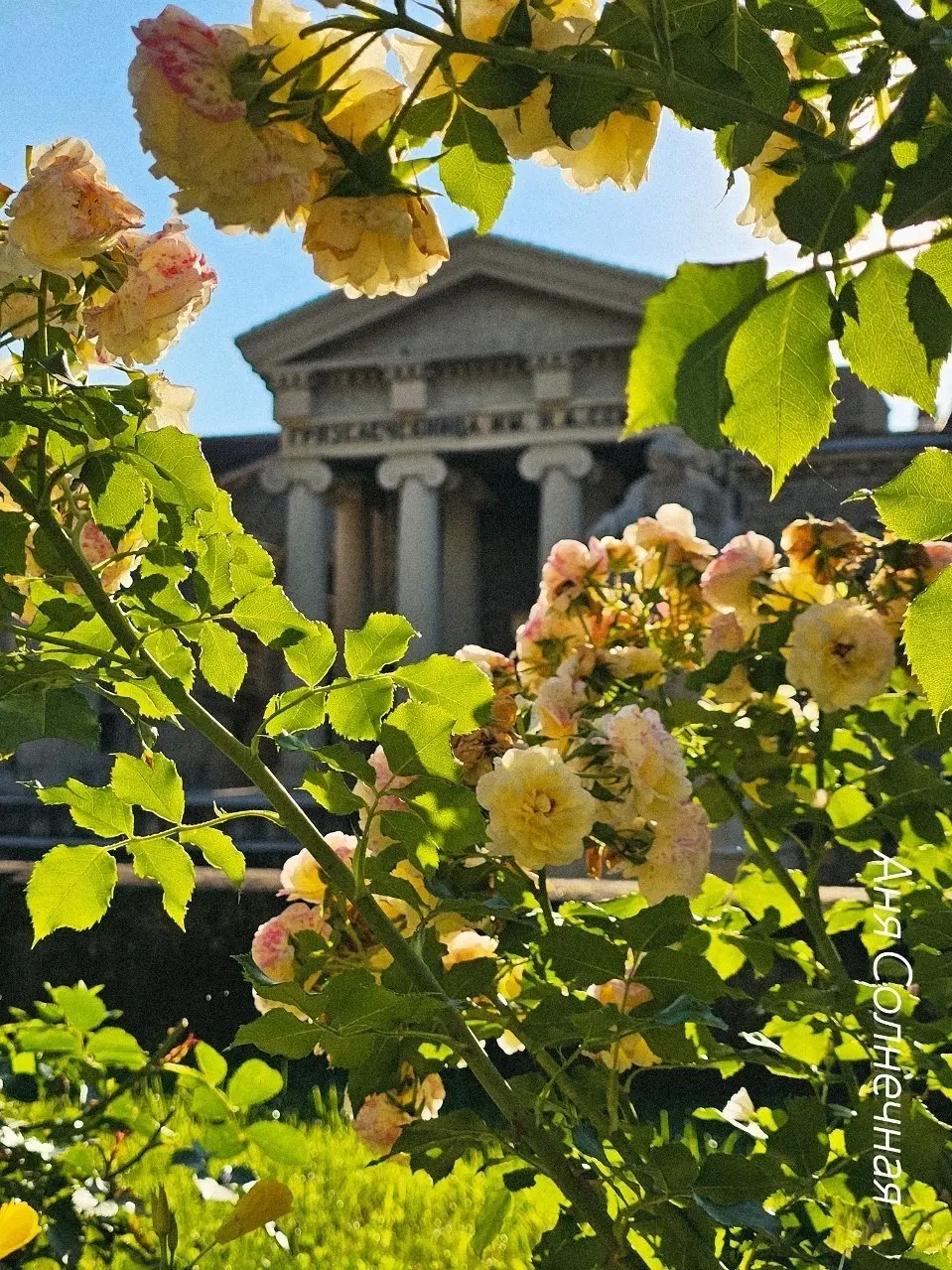 🌸 Летние Ессентуки в объективе
Цветущие клумбы, зелёные аллеи и узнаваемые виды курортного города. Красота, которая радует каждый день.
Фото: Аня Солнечная
📲 Ставропольский дворик в МАХ | Сетка — социальная сеть от hh.ru