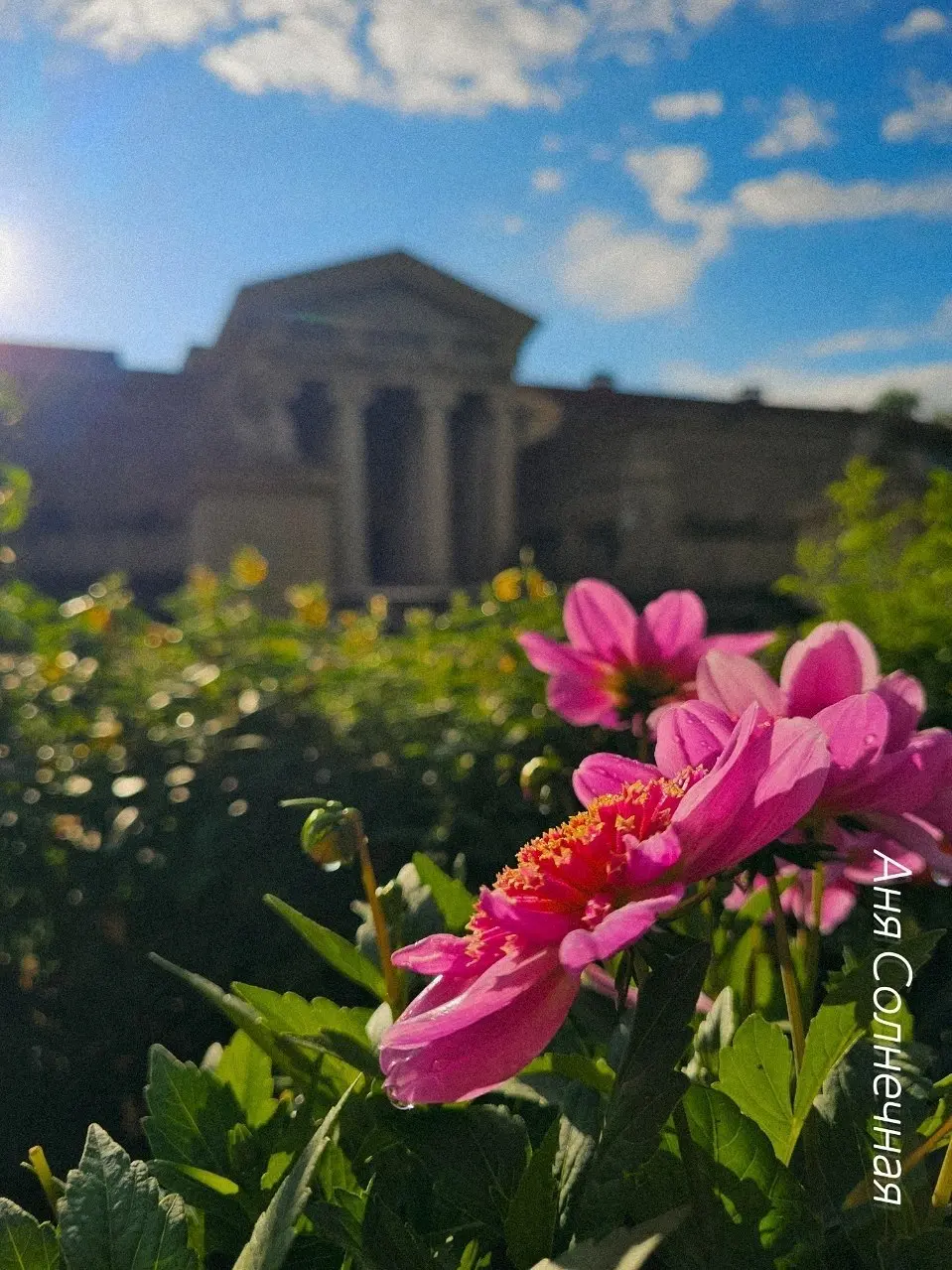 🌸 Летние Ессентуки в объективе
Цветущие клумбы, зелёные аллеи и узнаваемые виды курортного города. Красота, которая радует каждый день.
Фото: Аня Солнечная
📲 Ставропольский дворик в МАХ | Сетка — социальная сеть от hh.ru