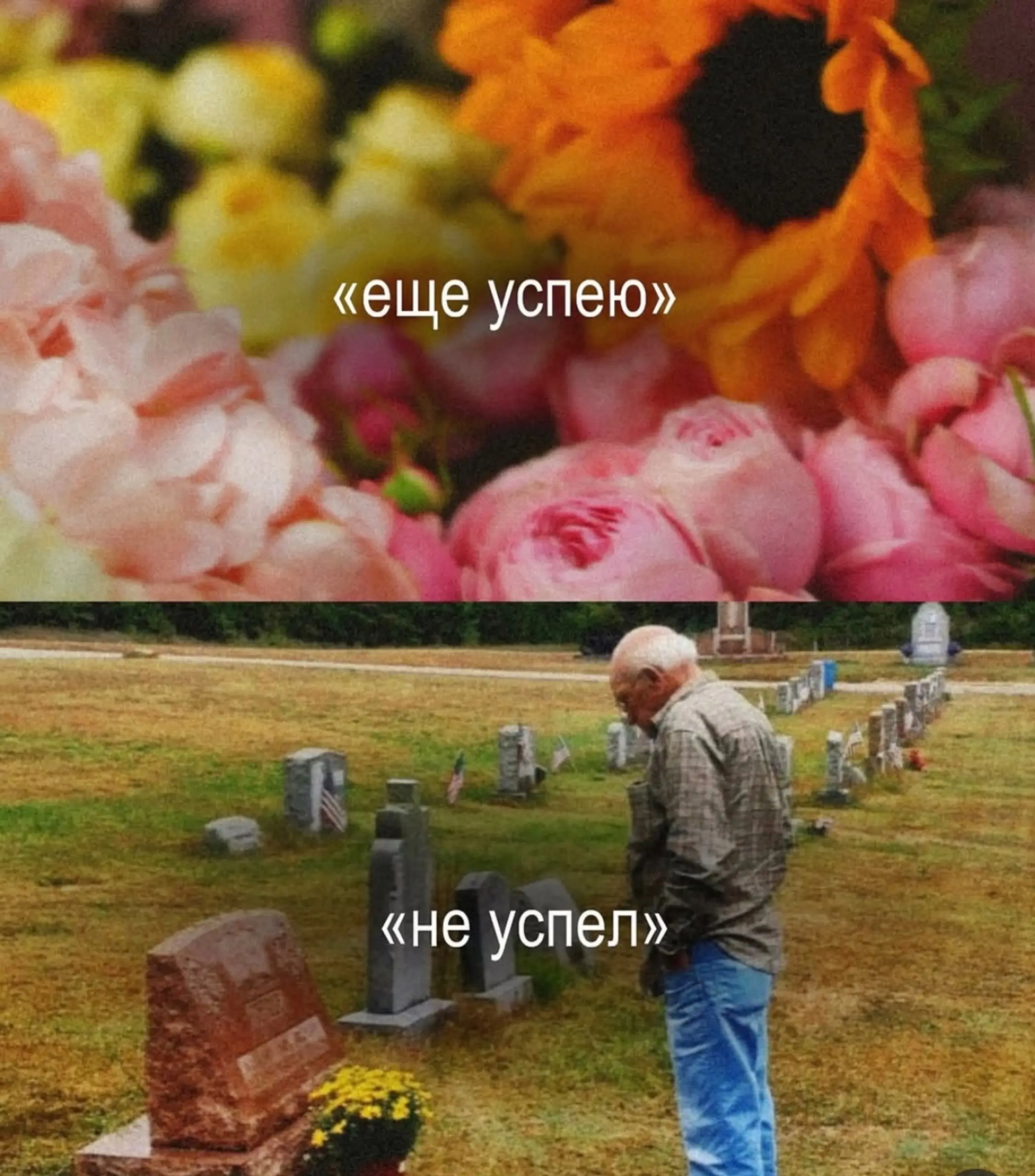 Хочу начать утро с напоминания о том , что нет ничего вечного | Сетка — социальная сеть от hh.ru