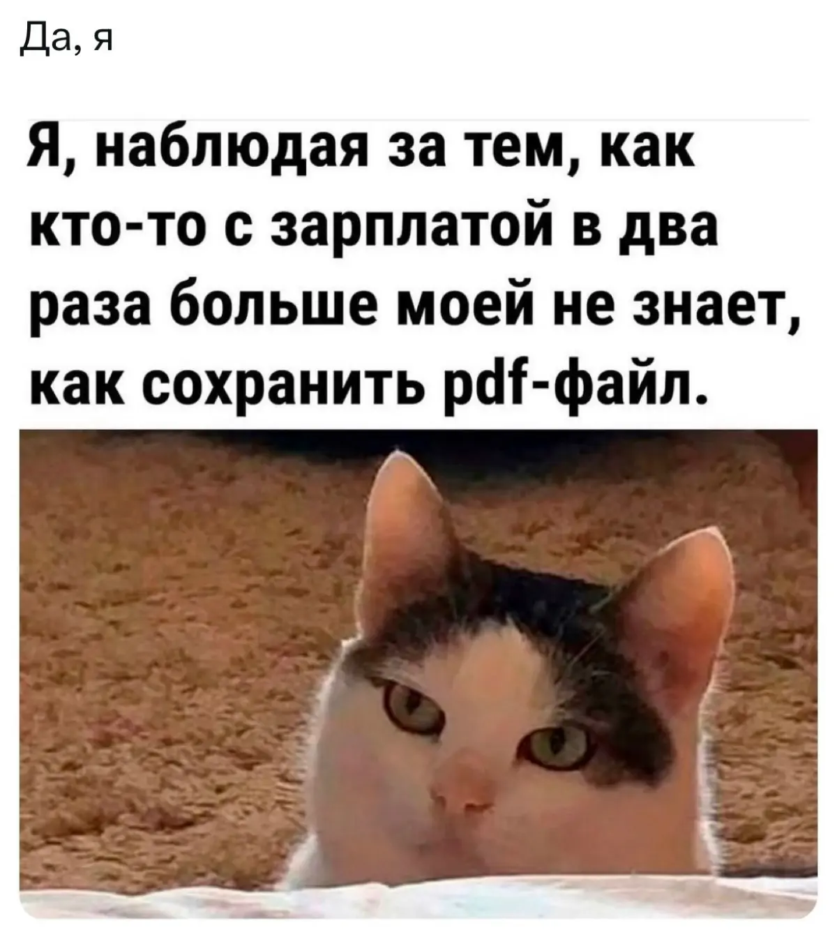Очень старое наблюдение 🧐 | Сетка — социальная сеть от hh.ru