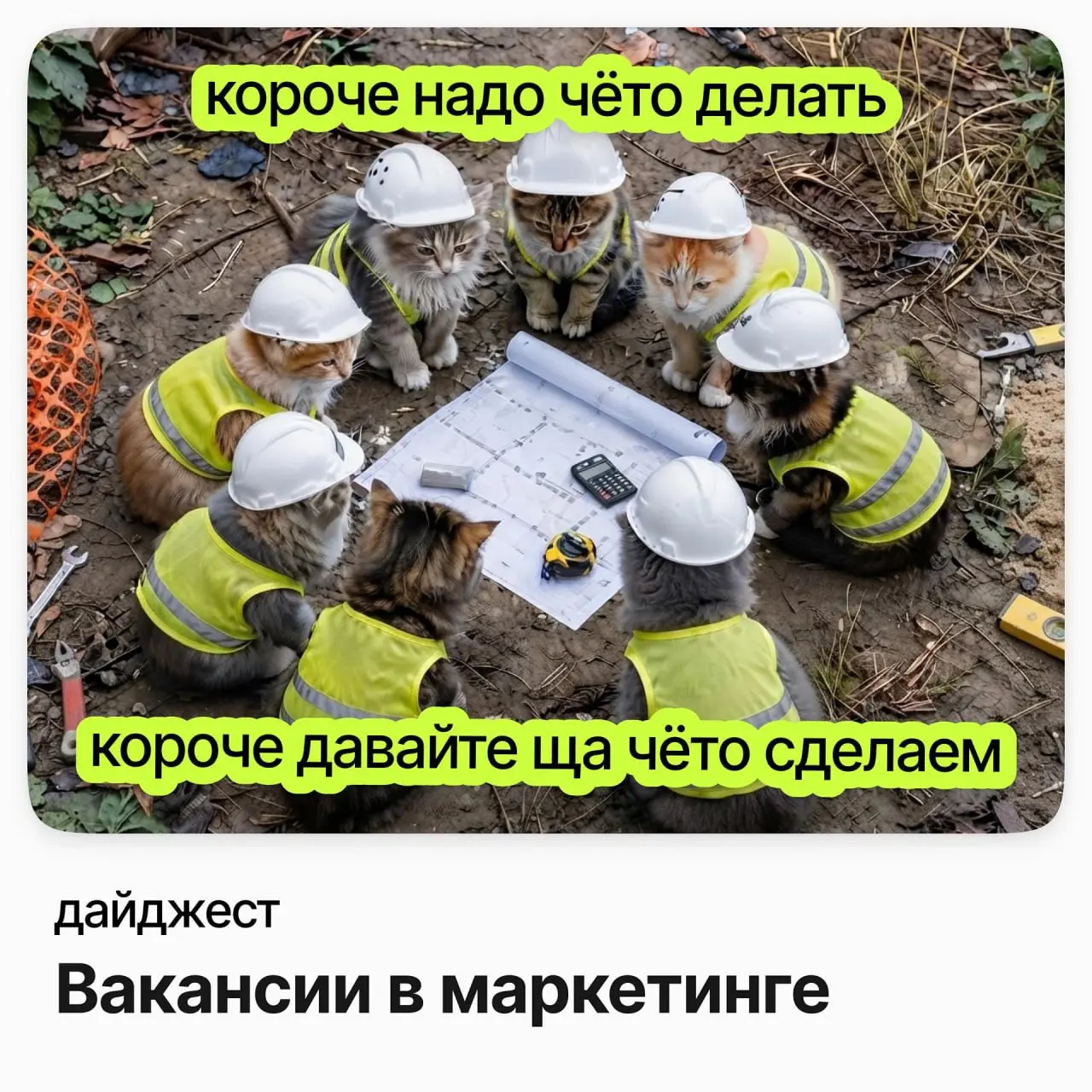 💼💼💼Вакансии в маркетинге
Диджитал менеджер / Teva
Зарплата: от 181 000 до 232 000 ₽ /на руки
Подробнее
Менеджер по B2B-маркетингу / ДомКлик
Зарплата: от 143 000 до 181 000 ₽ /на руки
Подробнее
Senior ... | Сетка — социальная сеть от hh.ru