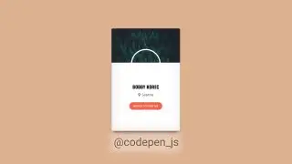 Social Card — 3D-эффект при наведении на карточку с информацией о человеке и соц. сетями. Реализована с помощью CSS и JavaScript
https://codepen.io/bobbykorec/pen/jyeeQP | Сетка — социальная сеть от hh.ru