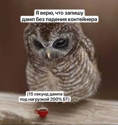 Как спасать дампы когда контейнеры выходят из строя | Сетка — социальная сеть от hh.ru