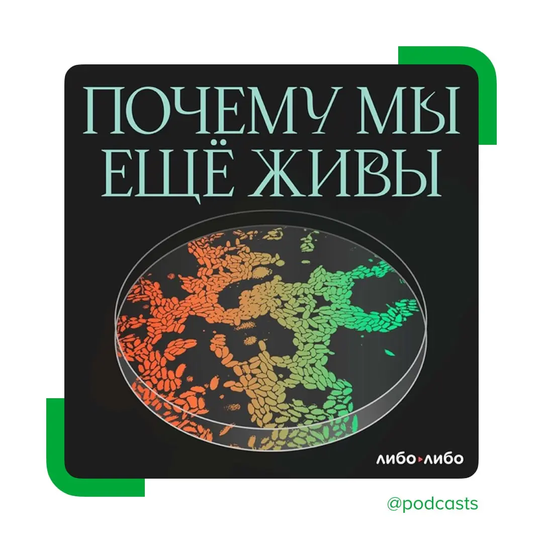 💪 Новый сезон подкаста «Почему мы еще живы»
Ведущая Лена Чеснокова продолжает рассказывать о медицинских открытиях, которые изменили мир.
Первый эпизод восьмого сезона посвящен тестостерону | Сетка — социальная сеть от hh.ru