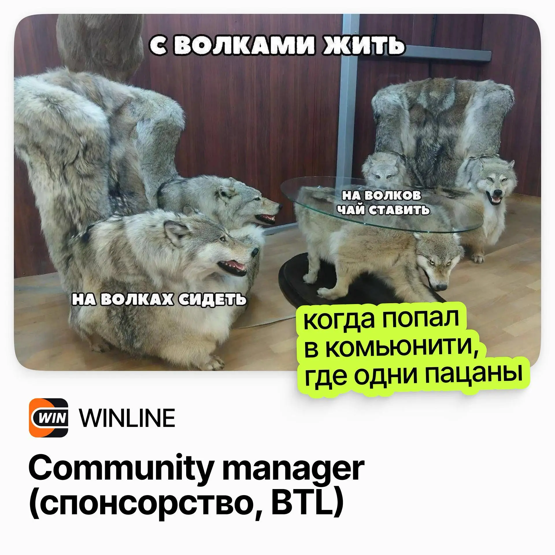 🏅 Community Manager, спонсорство и BTL / WINLINE
WINLINE — одна из ведущих букмекерских компаний России, формирующая стандарты индустрии | Сетка — социальная сеть от hh.ru