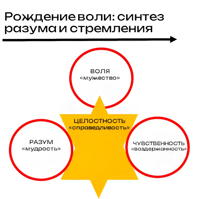 Рождение воли: синтез разума и стремления | Сетка — социальная сеть от hh.ru