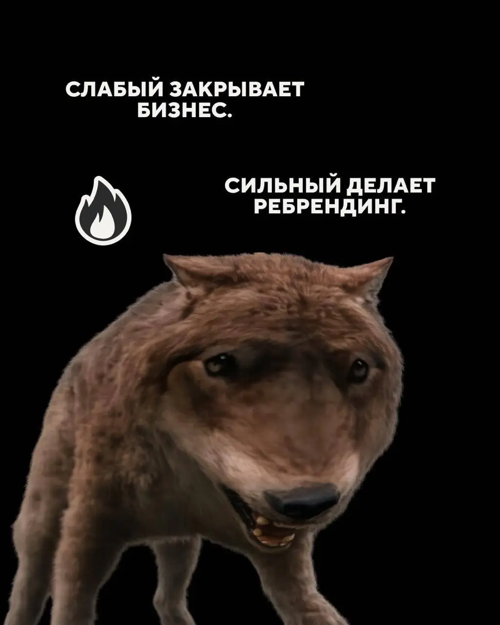 Господа, бизнесмены
Запоминаем 🤫 | Сетка — социальная сеть от hh.ru