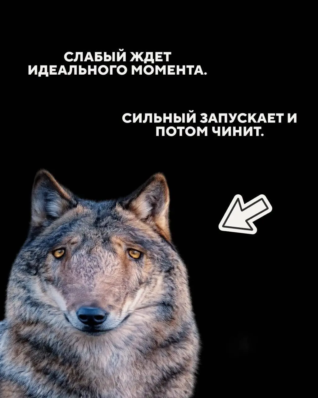 Господа, бизнесмены
Запоминаем 🤫 | Сетка — социальная сеть от hh.ru