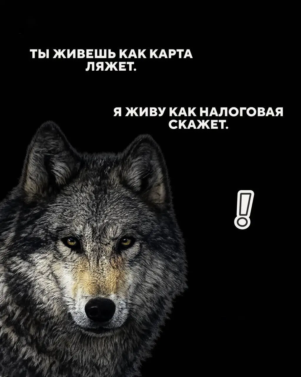 Господа, бизнесмены
Запоминаем 🤫 | Сетка — социальная сеть от hh.ru