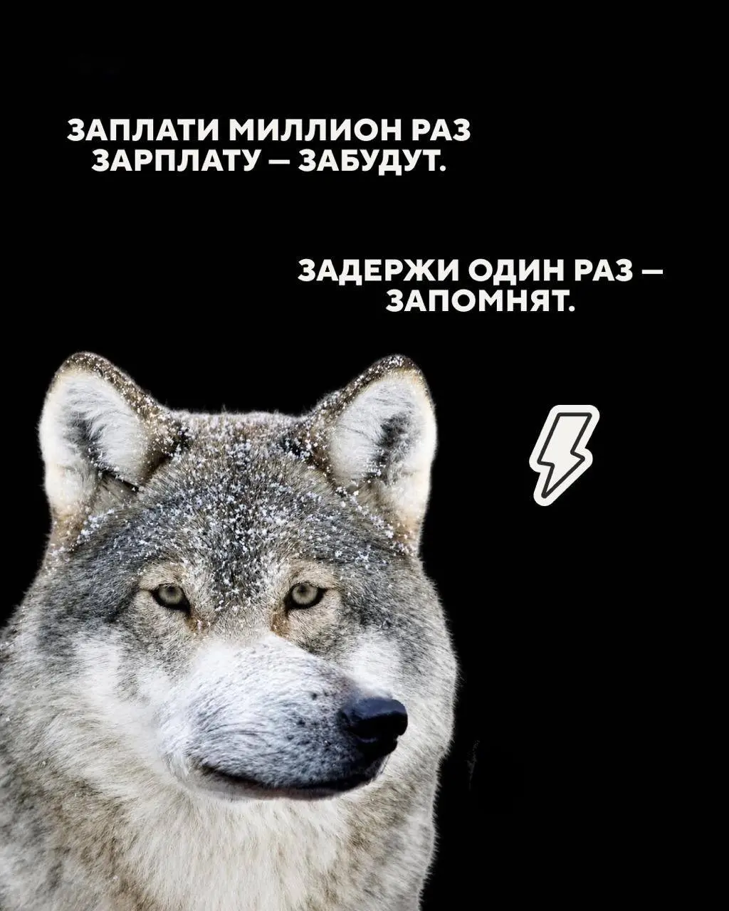 Господа, бизнесмены
Запоминаем 🤫 | Сетка — социальная сеть от hh.ru